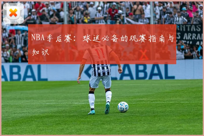 NBA季后赛：球迷必备的观赛指南与知识