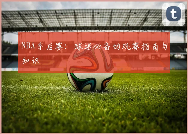 NBA季后赛：球迷必备的观赛指南与知识
